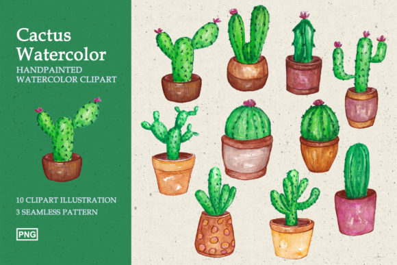 10 Cactus Clipart Handpainted Watercolor Illustrations Review