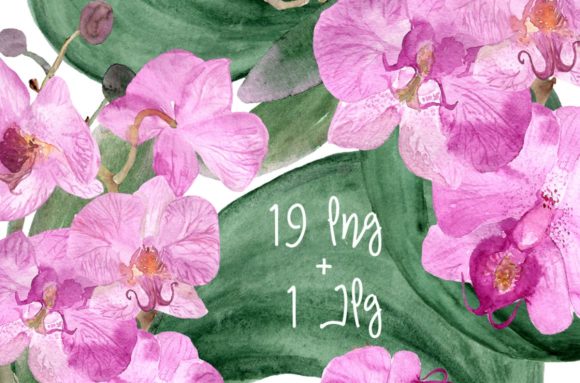 19 Watercolor Orchid Clip Art & Illustrations