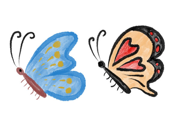 Butterfly Watercolor Illustrations Review