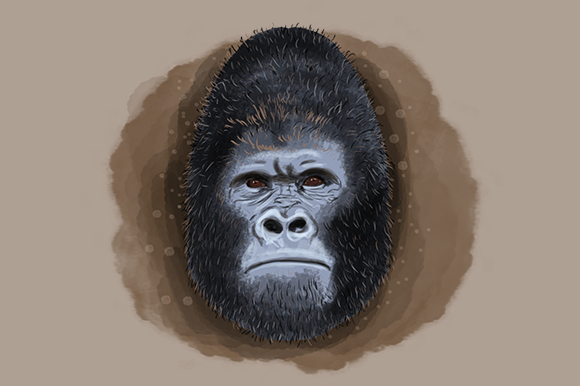 Gorilla Watercolor Illustration: A Designer Review