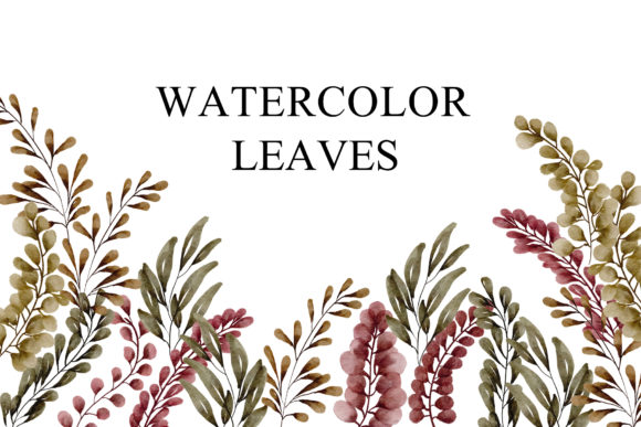 Leaves Watercolor PNG: Craft Illustrations