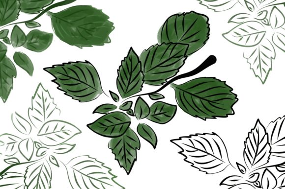 Mint Watercolor Branch: Fresh Illustrations