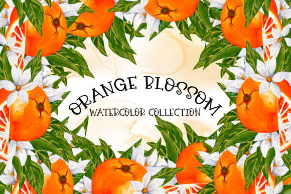 Orange Blossom-Watercolor Collection: Illustrations Review