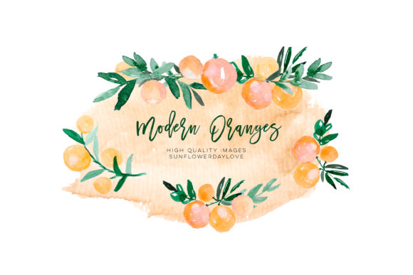 Orange Citrus Watercolor Clipart & Illustrations