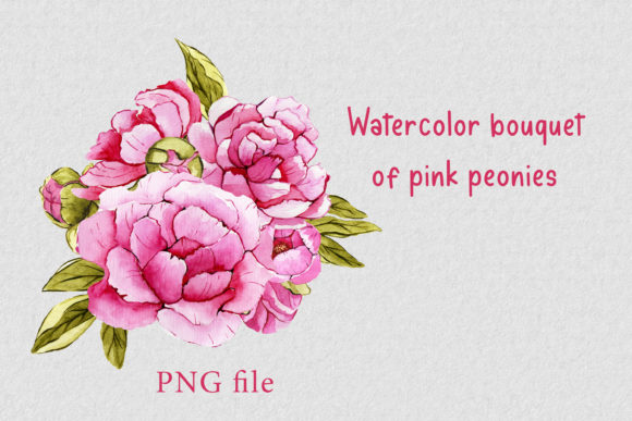 Pink Peonies PNG: Elegant Illustrations