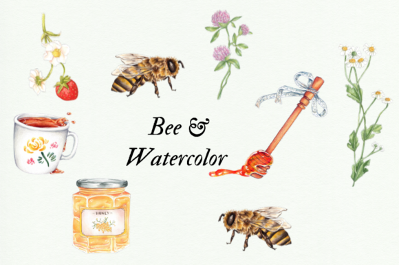Watercolor Bee Clipart & Illustrations Review