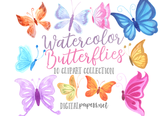 Watercolor Butterflies Illustrations Review