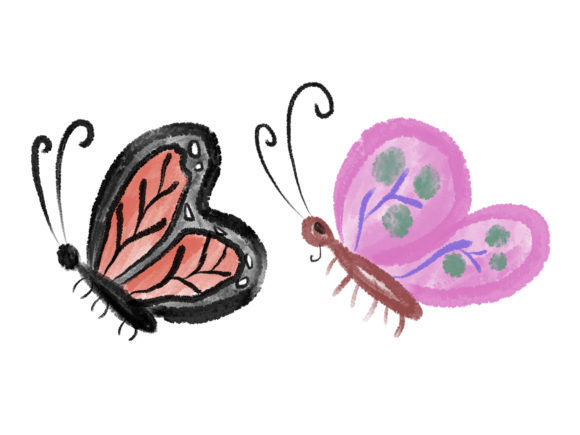 Watercolor Butterfly: Branding & Illustrations