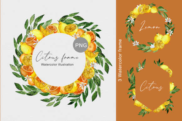 Watercolor Citrus Illustrations Set Review