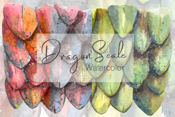 Watercolor Dragon Scale Pattern Illustrations Review