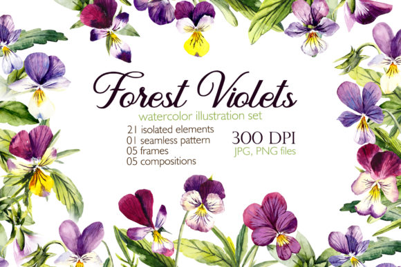 Watercolor Forest Violets: Premium Illustrations