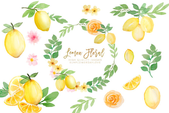 Watercolor Lemon Citrus Fruit Clipart & Illustrations