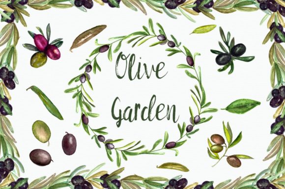 Watercolor Olive Garden Clip Art & Illustrations