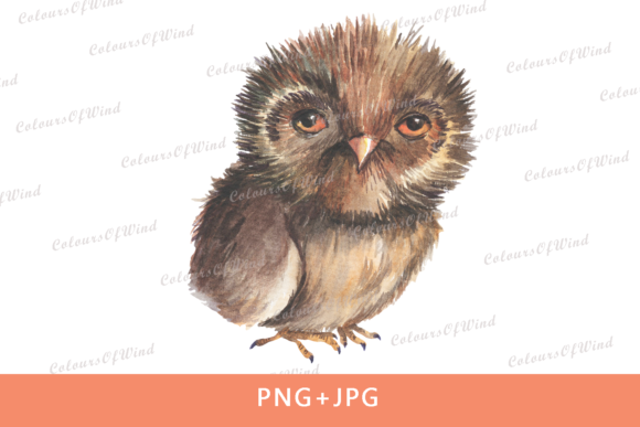 Watercolor Owl Sub Transfer Design & Illustrations