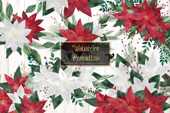 Watercolor Poinsettias Clip Art: A Designer Review