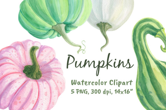 Watercolor Pumpkins Clipart Png & Illustrations