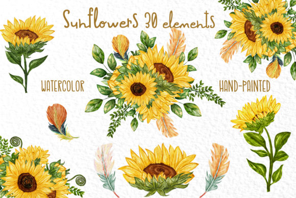 Watercolor Sunflower Clipart & Illustrations
