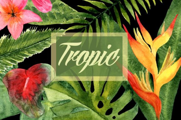 Watercolor Tropic Clip Art: Fresh Illustrations